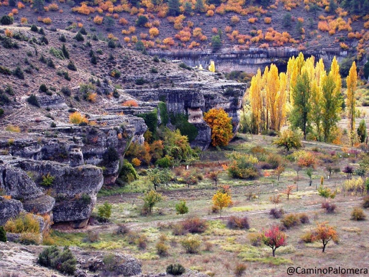 Biosfera Suites Palomera Dış mekan fotoğraf